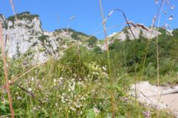2013-08-12_Rupert-B-Frohkostgipfel (113).JPG